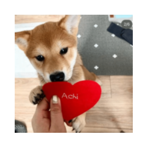 achi 