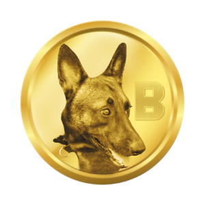 Belgian Malinois