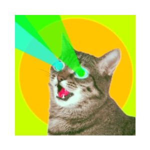 Bitcat