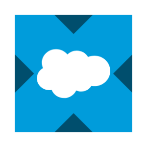 Salesforce tokenized stock (xStock)