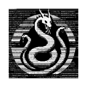 H1DR4 by Virtuals
