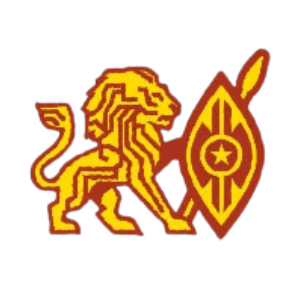 Kenyan Digital Token