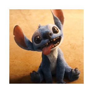 Stitch