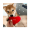 achi icon