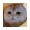 TAOCat by Virtuals & Masa icon