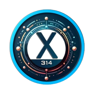 X314