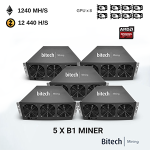 5 x B1 Rig