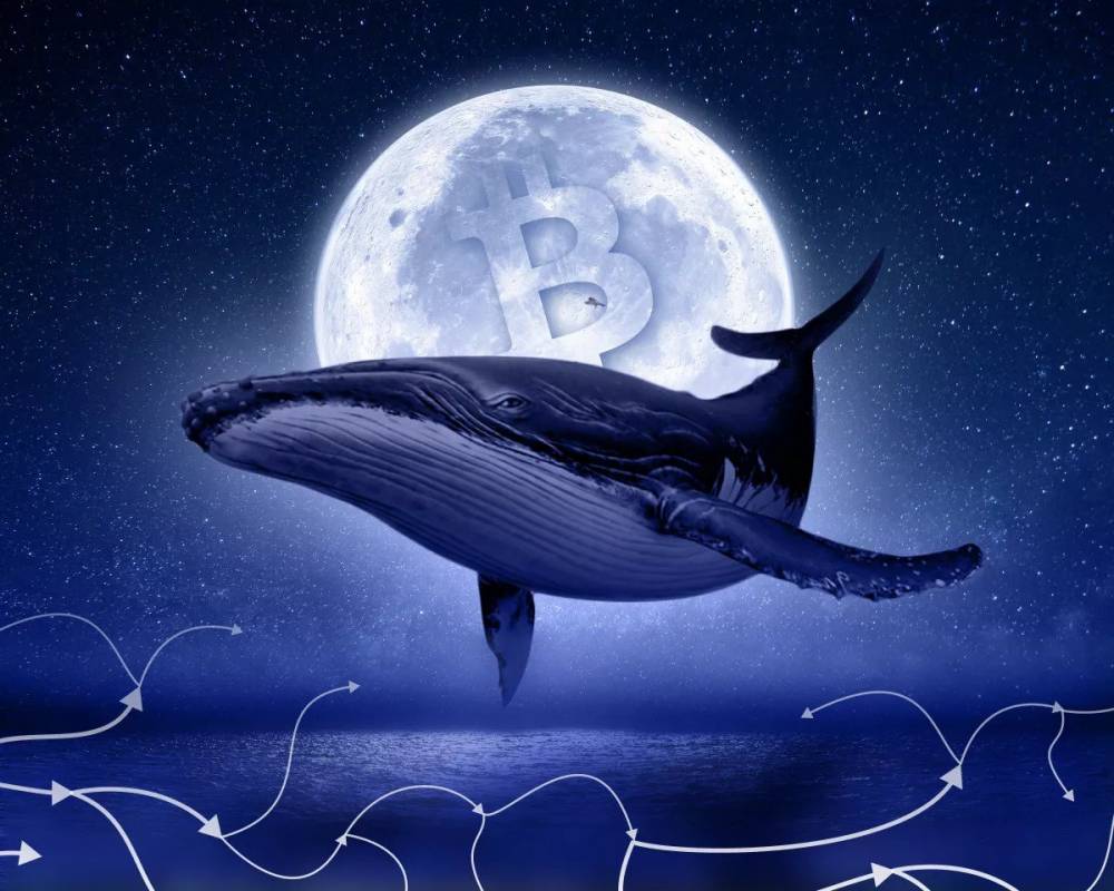 Whales are activated: billions in BTC and ETH began to move